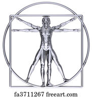 Free Vitruvian Man Art Prints and Wall Art | FreeArt