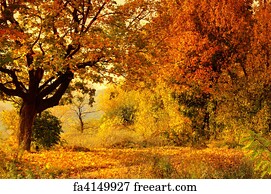 Free art print of Autumn Forest | FreeArt | fa4149927