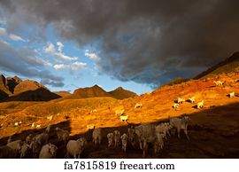 {Herde
42} Free Herde Art Prints and Wall Art | FreeArt | {Herde
42}