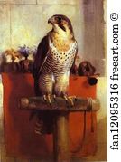 Falcon Art Print - Falcon