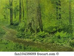 Footpath in a Forest, Ferns