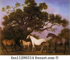 Mares and Foals under an Oak-Tree