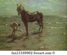 Bathing of a Horse