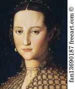 Portrait of Eleonora of Toledo as a Young Woman. Detail