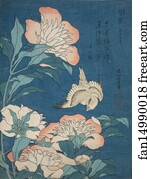 Peonies and Canary (Shakuyaku, kanaari), from an untitled series known as Small Flowers