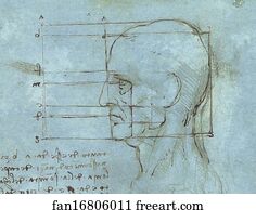 Proportions of the Head (c. 1488 - 1489)