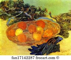 Still Life with Gloves and Pine Branch