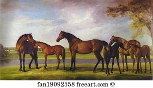 Mares and Foals Disturbed by an Approaching Storm