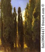 Cypresses in the Crimea