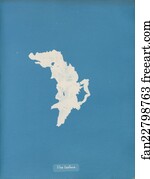 Ulva lactuca
