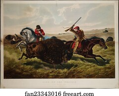 Life on the Prairie, The Buffalo Hunt, lithograph by Arthur Fitzwilliam Tait, published by Currier & Ives, 152 Nassau Street, New York, New York.