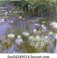 Water Lilies