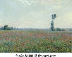 Poppy Field
