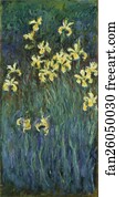 Yellow Irises