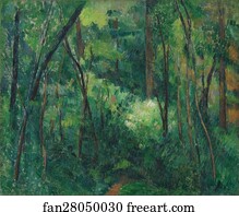 Interior of a forest