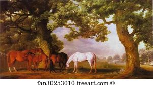 Mares and Foals in a Wooded Landscape