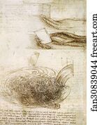 Studies of Water passing Obstacles and falling (c. 1508 - 1509)