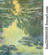 Waterlilies