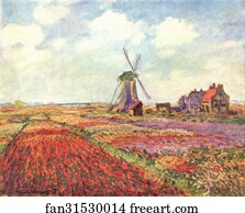 Tulip fields in Holland