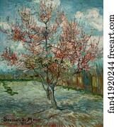 Flowering peach tree (Memory of Mauve)