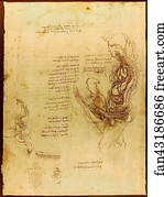 Coition of a Hemisected Man and Woman