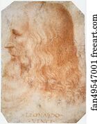 Portrait of Leonardo