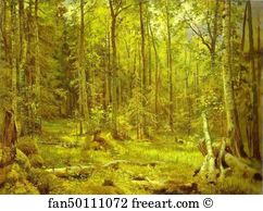 Mixed Forest. Shmetsk Near Narva