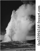 Erupting, against dark sky, "Old Faithful Geyser, Yellowstone National Park," Wyoming. (vertical orientation).