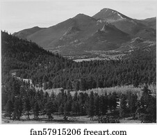 View with trees in foreground, barren mountains in background, "In Rocky Mountain National Park," Colorado.  Photographs of National Parks and Monuments, compiled 1941 - 1942, documenting the period ca. 1933 - 1942.