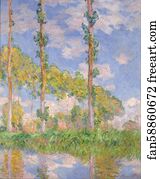 Poplars in the Sun