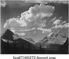 Tops of pine trees, snow covered, "In Glacier National Park," Montana.  Photographs of National Parks and Monuments, compiled 1941 - 1942, documenting the period ca. 1933 - 1942.