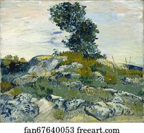 The Rocks / Rocks with Oak Tree