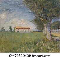 Farmhouse in a wheat field