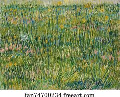 Grasgrond Patch of grass