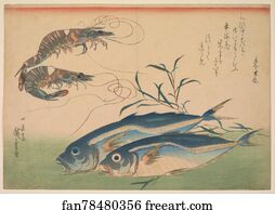 Horse Mackerel (Aji) with Shrimp or Prawn, with inscription