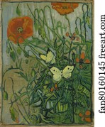 Butterflies and poppies