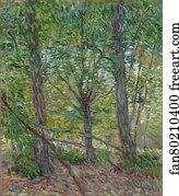 Trees