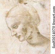 Study of a woman's head