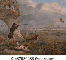 Duck Shooting