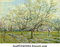 The white orchard