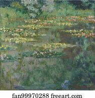 Le Bassin des Nympheas