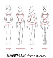 Free art print of Female body types vector illustration. Female body ...