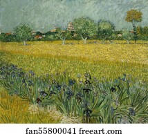 Flowers Art Print - Field With Flowers Near Arles