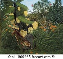 Fighting Art Print - Fight Between A Tiger And A Buffalo