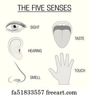 Free art print of Five senses - touch, sight, hearing, smell, taste ...