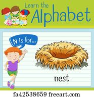 Free art print of Flashcard letter N is for numbat. Flashcard letter N ...