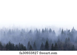 Free Pine Forest Art Prints And Wall Artwork Freeart