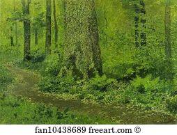 Ferns Art Print - Footpath In A Forest, Ferns