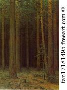 1881 Oil On Canvas The Museum Of Russian Art Art Print - Forest Reserve. Pine Grove