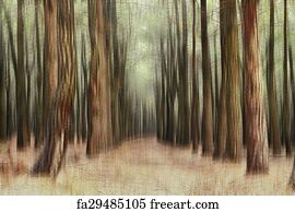Free art print of Beautiful Forest. A beautiful forest at dusk ...